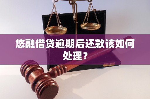 悠融借贷逾期后还款该如何处理？