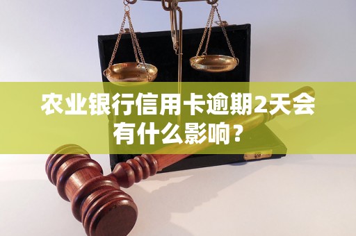 农业银行信用卡逾期2天会有什么影响? 农业银行信用卡逾期2天会有什么影响?