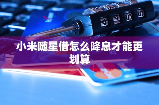 小米随星借怎么降息才能更划算