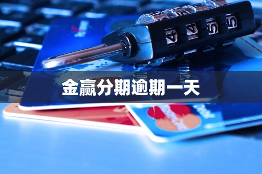 金赢分期逾期一天