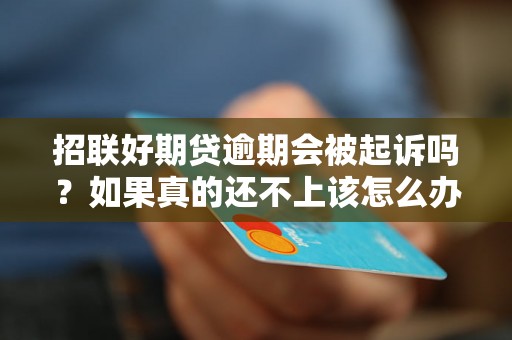 招联好期贷逾期会被起诉吗？如果真的还不上该怎么办？