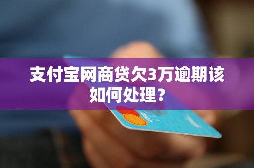 支付宝网商贷欠3万逾期该如何处理？