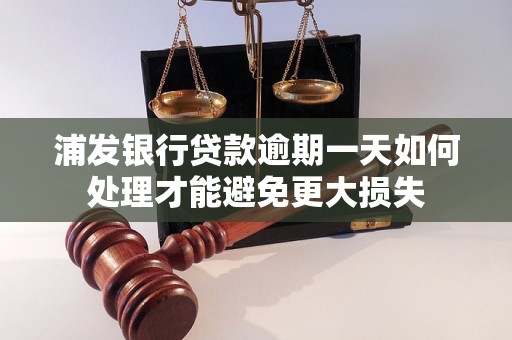 浦发银行贷款逾期一天如何处理才能避免更大损失
