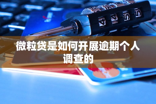 微粒贷是如何开展逾期个人调查的