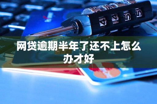 网贷逾期半年了还不上怎么办才好