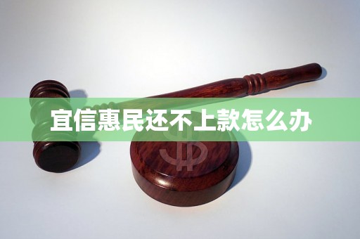 宜信惠民还不上款怎么办 宜信惠民还不上款怎么办