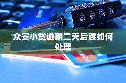 众安小贷逾期二天后该如何处理
