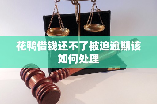 花鸭借钱还不了被迫逾期该如何处理