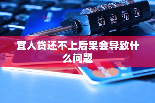 宜人贷还不上后果会导致什么问题