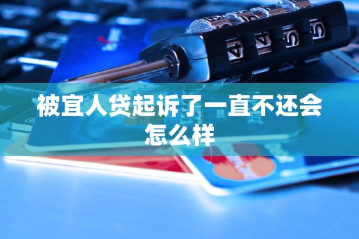 被宜人贷起诉了一直不还会怎么样