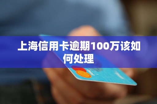 上海信用卡逾期100万该如何处理