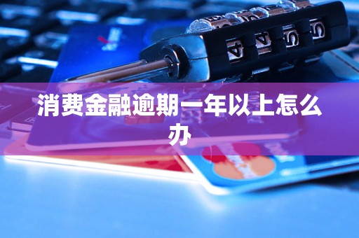 消费金融逾期一年以上怎么办