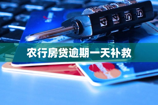 农行房贷逾期一天补救 农行房贷逾期一天补救