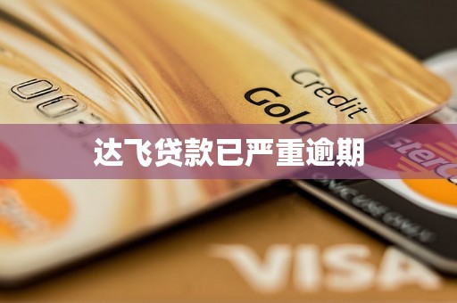达飞贷款已严重逾期