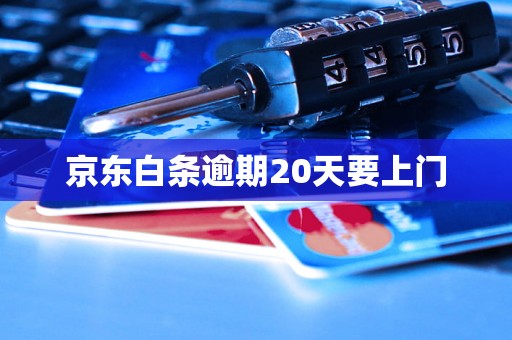 京东白条逾期20天要上门