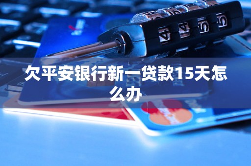 欠平安银行新一贷款15天怎么办