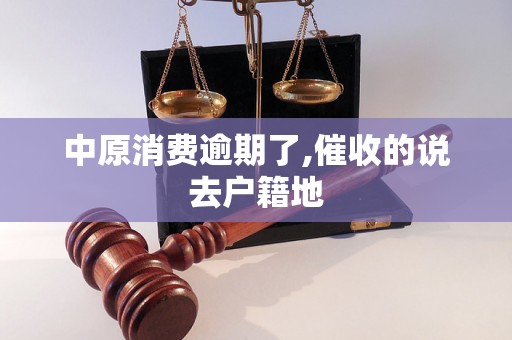 中原消费逾期了,催收的说去户籍地