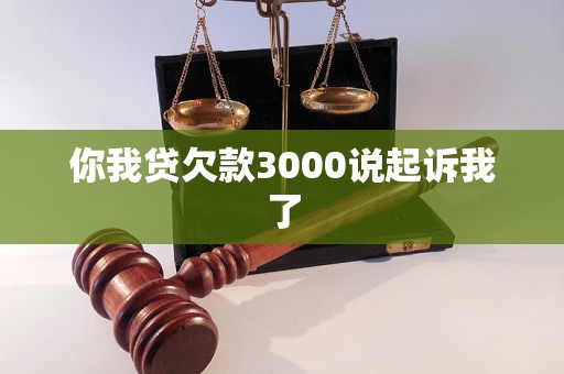 你我贷欠款3000说起诉我了