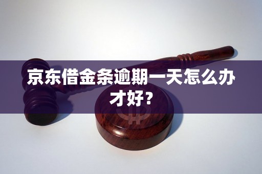 京东借金条逾期一天怎么办才好？