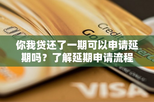 你我贷还了一期可以申请延期吗？了解延期申请流程