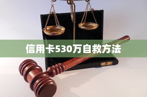 信用卡530万自救方法 信用卡530万自救方法