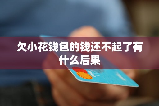 欠小花钱包的钱还不起了有什么后果 欠小花钱包的钱还不起了有什么后果