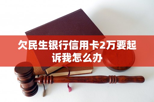 欠民生银行信用卡2万要起诉我怎么办