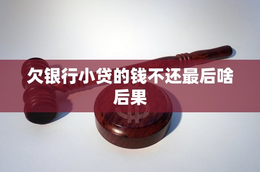 欠银行小贷的钱不还最后啥后果