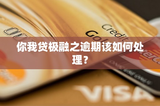 你我贷极融之逾期该如何处理？