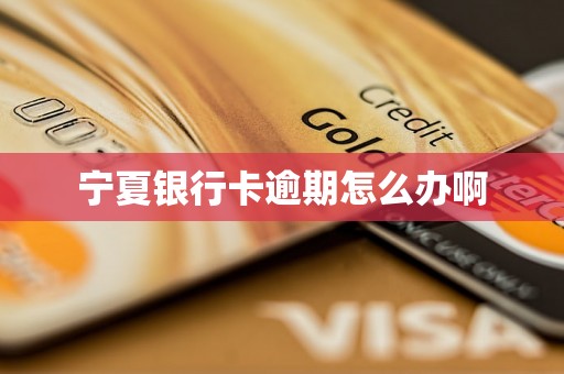 宁夏银行卡逾期怎么办啊 宁夏银行卡逾期怎么办啊