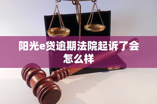 阳光e贷逾期法院起诉了会怎么样