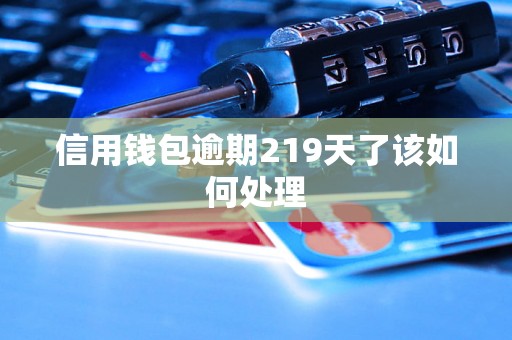 信用钱包逾期219天了该如何处理 信用钱包逾期219天了该如何处理