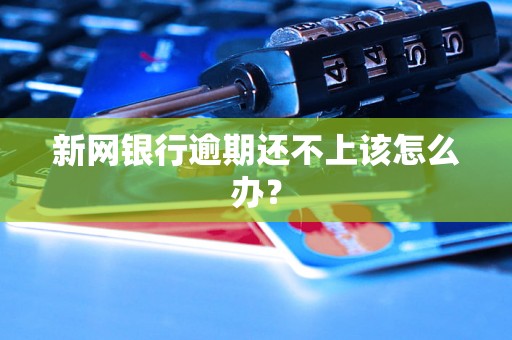新网银行逾期还不上该怎么办？