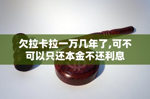 欠拉卡拉一万几年了,可不可以只还本金不还利息