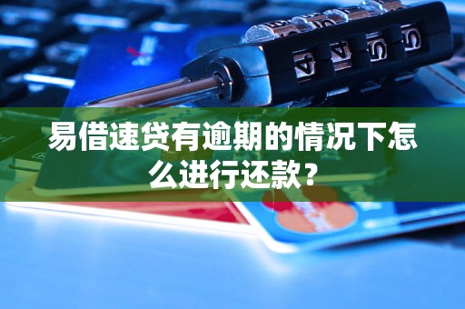 易借速贷有逾期的情况下怎么进行还款? 易借速贷有逾期的情况下怎么进行还款?