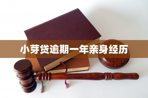 小芽贷逾期一年亲身经历