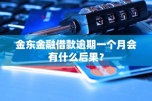 金东金融借款逾期一个月会有什么后果？