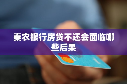 秦农银行房贷不还会面临哪些后果