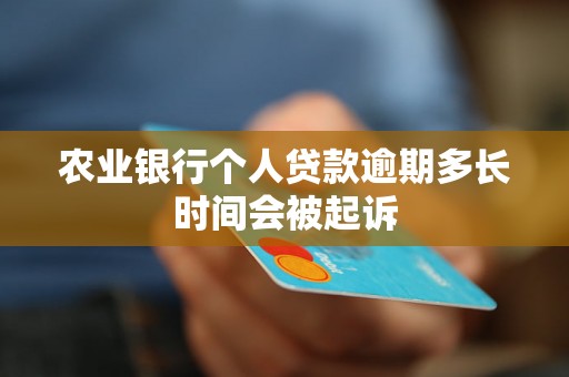 农业银行个人贷款逾期多长时间会被起诉