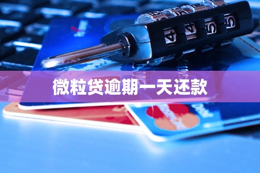 微粒贷逾期一天还款