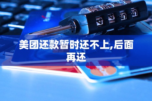 美团还款暂时还不上,后面再还