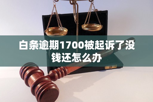 白条逾期1700被起诉了没钱还怎么办 白条逾期1700被起诉了没钱还怎么办