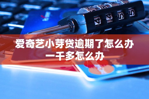 爱奇艺小芽贷逾期了怎么办一千多怎么办 爱奇艺小芽贷逾期了怎么办一千多怎么办