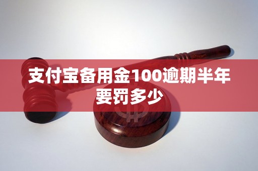 支付宝备用金100逾期半年要罚多少
