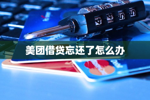 美团借贷忘还了怎么办 美团借贷忘还了怎么办