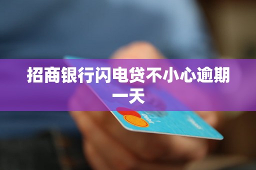 招商银行闪电贷不小心逾期一天 招商银行闪电贷不小心逾期一天
