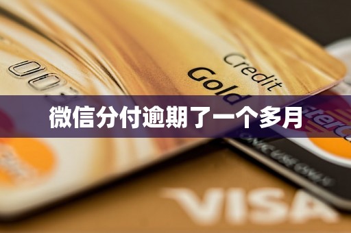 微信分付逾期了一个多月 微信分付逾期了一个多月