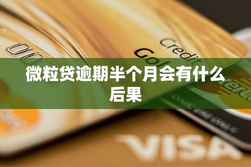 微粒贷逾期半个月会有什么后果