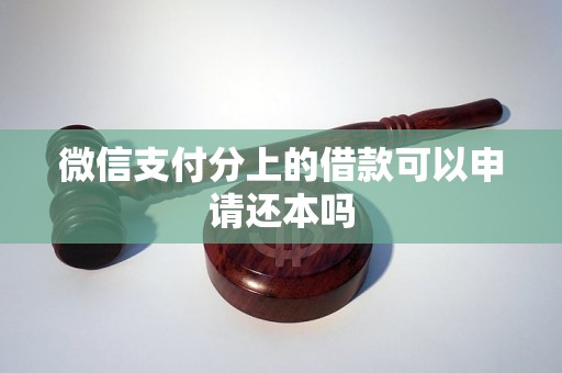 微信支付分上的借款可以申请还本吗