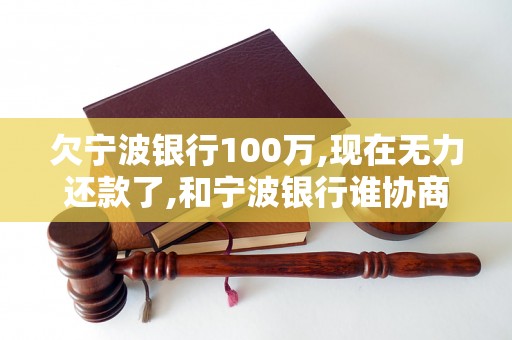 欠宁波银行100万,现在无力还款了,和宁波银行谁协商